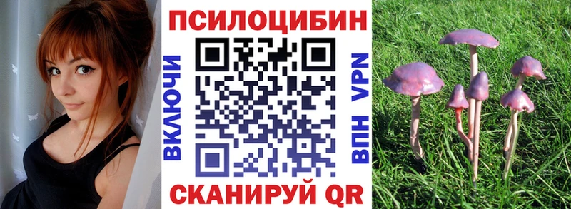 Галлюциногенные грибы GOLDEN TEACHER  Купить где  Старый Крым 